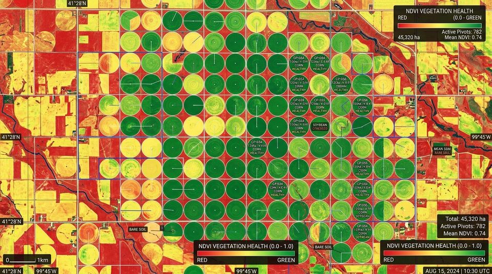 Satellite crop-health map of the Mazowe agro-estate